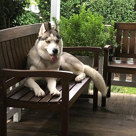 Birches B&B Тарі Екстер'єр фото