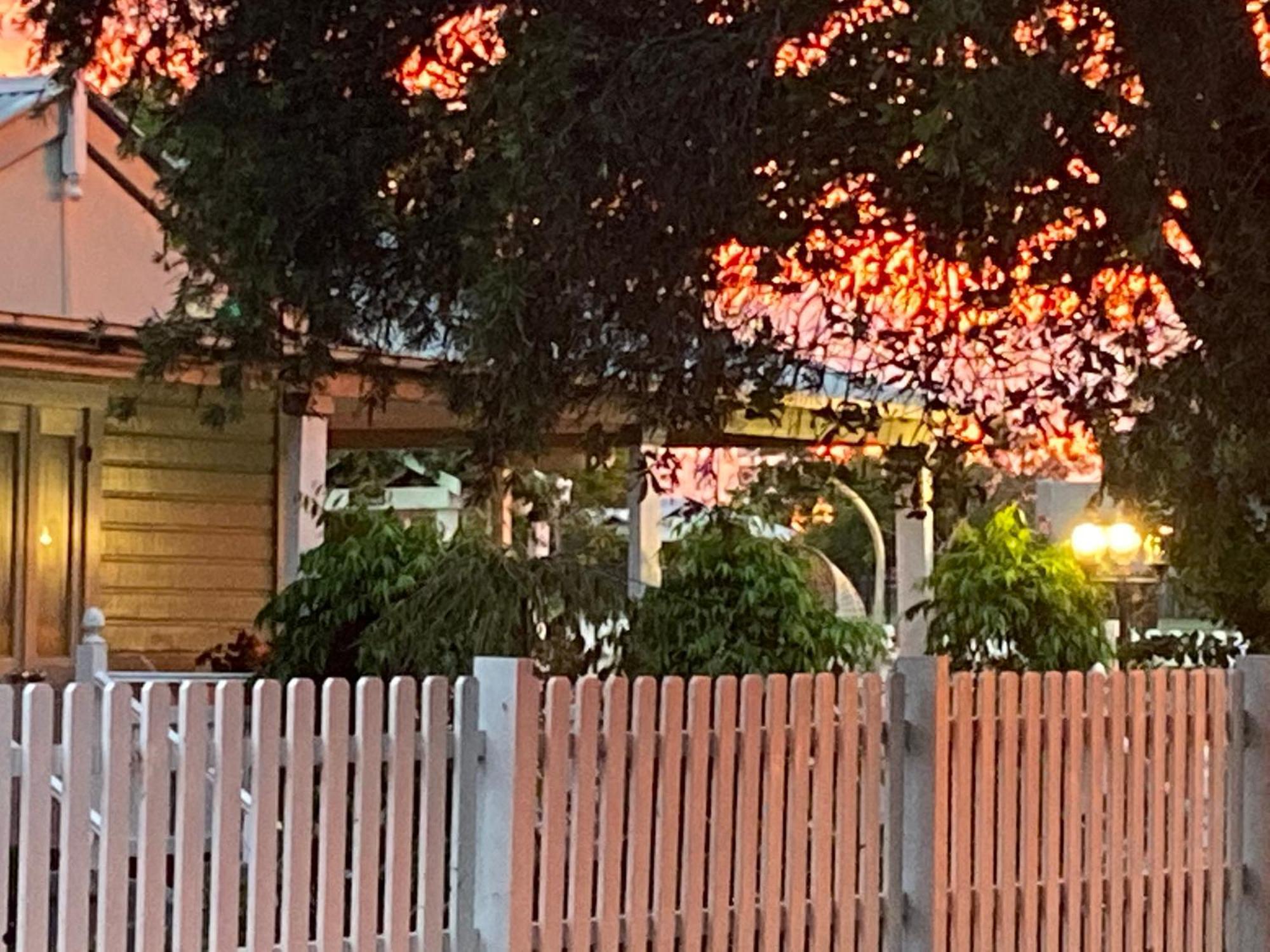 Birches B&B Тарі Екстер'єр фото